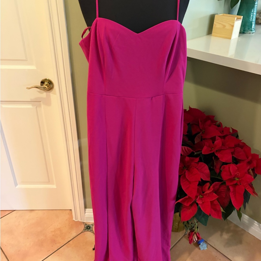 Express Fuchsia Jumpsuit
